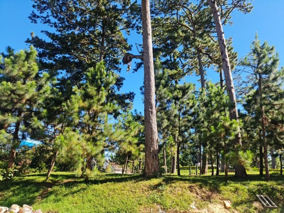 Song Trang Hotell Dalat Exteriör bild